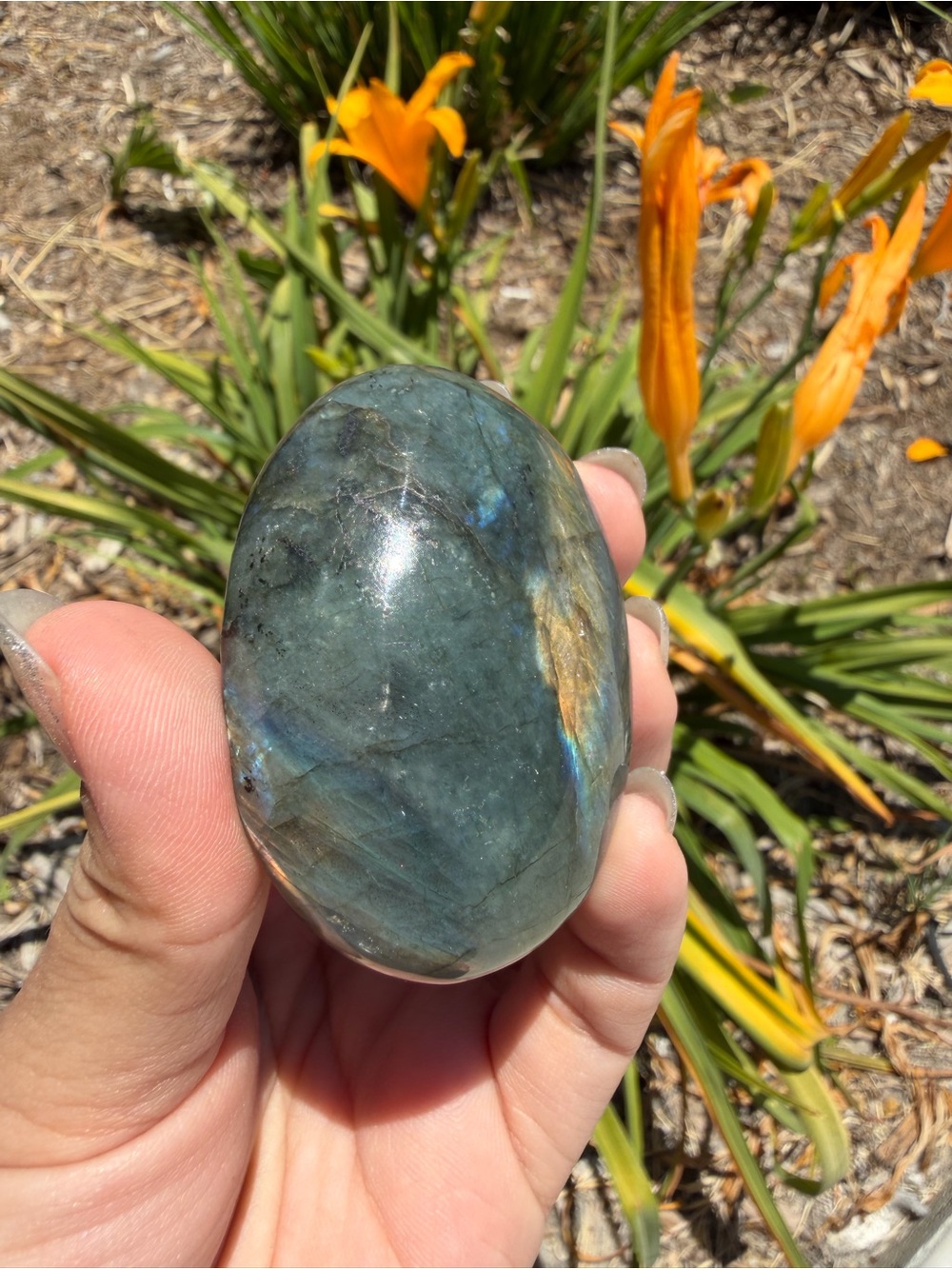 Natural Labradorite Palm Stone,Polished Labradorite Crystal,Pocket Stone,A593